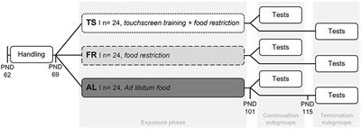 The power of a touch: Regular touchscreen training but not its termination affects hormones and behavior in mice